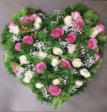 IMG_20250815_111544