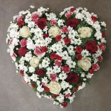 IMG_20250820_173112