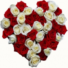 Srdce z bílých a rudých růží